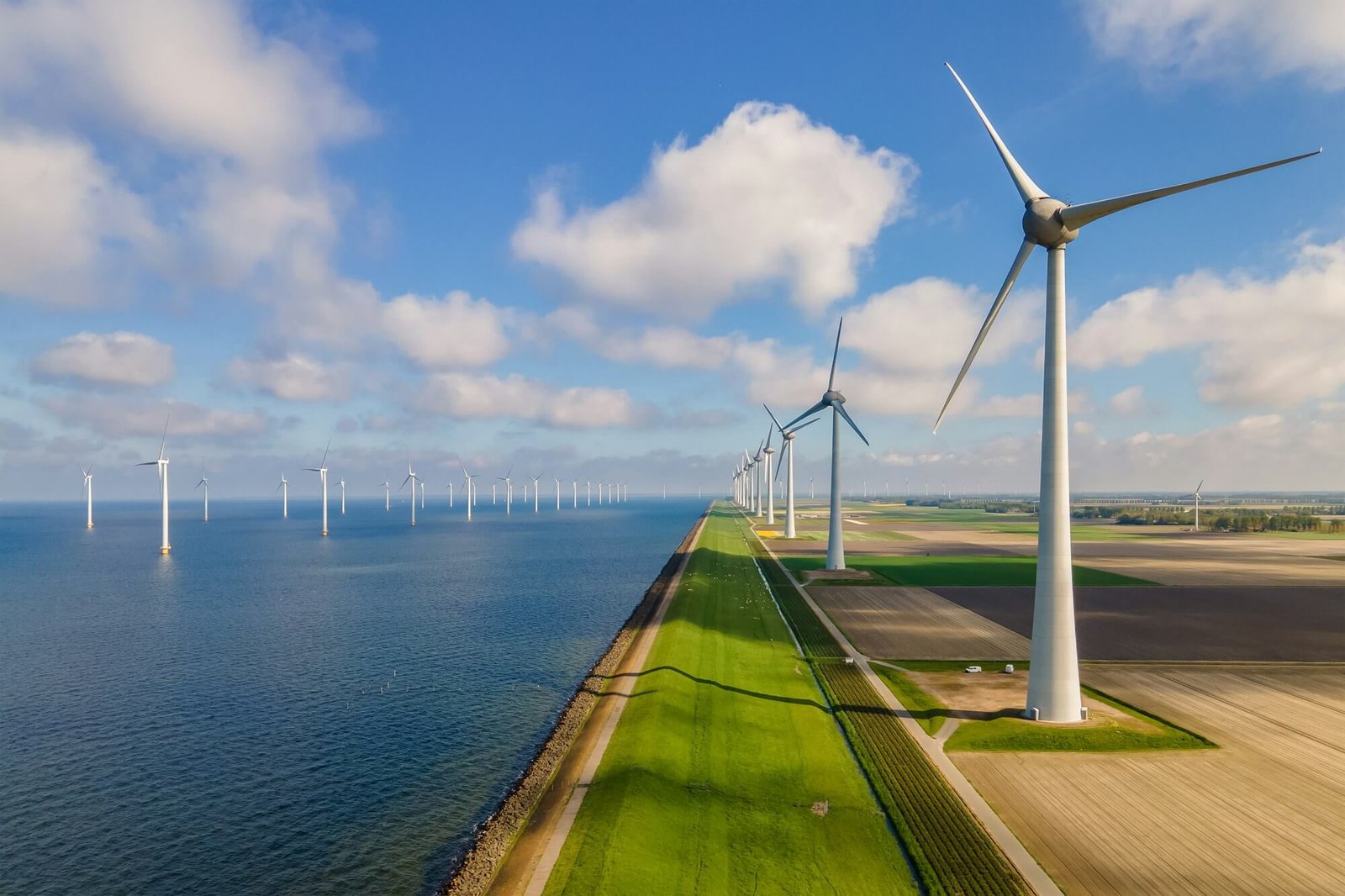 Sistema Eólico Industrial Para 30,000 W | Umfree Energy Energía Eólica